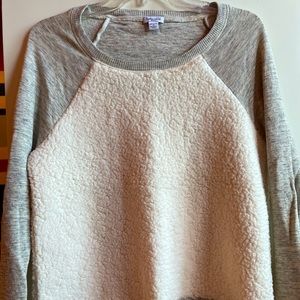 Splendid Fuzzy Sweater.